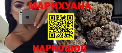 альфа пвп Заводоуковск