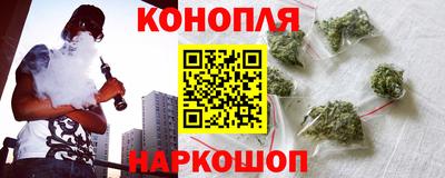 альфа пвп Заводоуковск